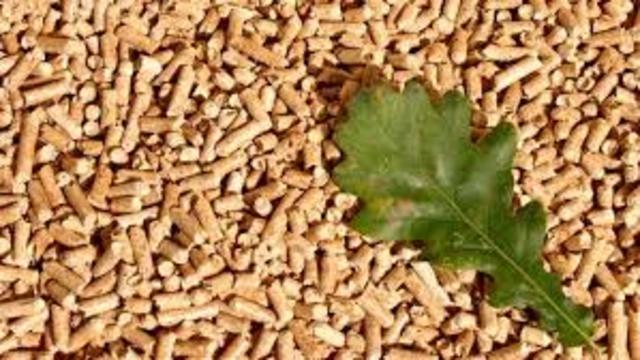 Se empieza a utilizar la biomasa.