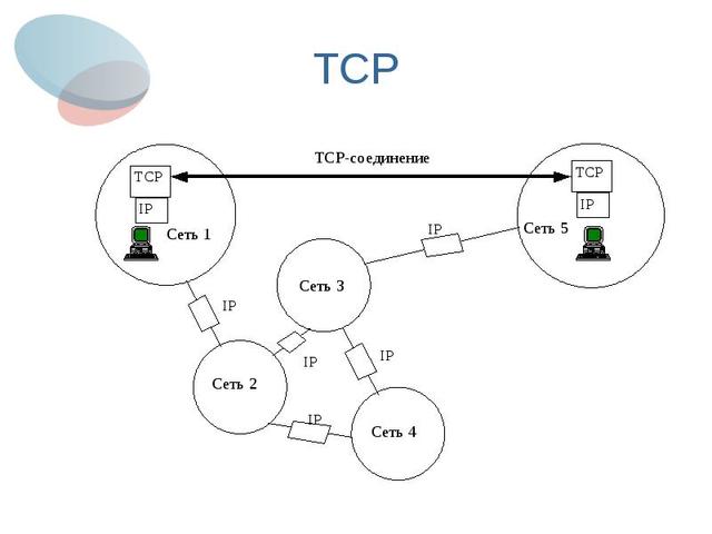 Первые протоколы