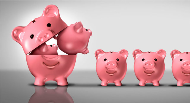 El Ejecutivo envía al Congreso