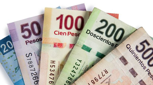 El Ejecutivo envía a la Camara de Diputados