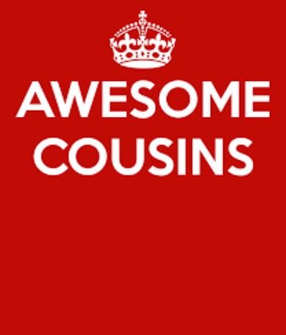 Go to the zoo with my cousins.