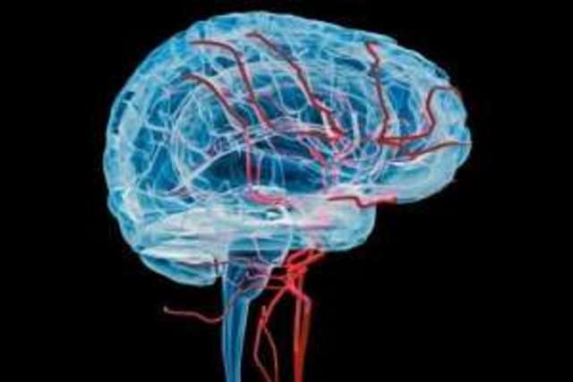 Demostración de la neurotransmisión