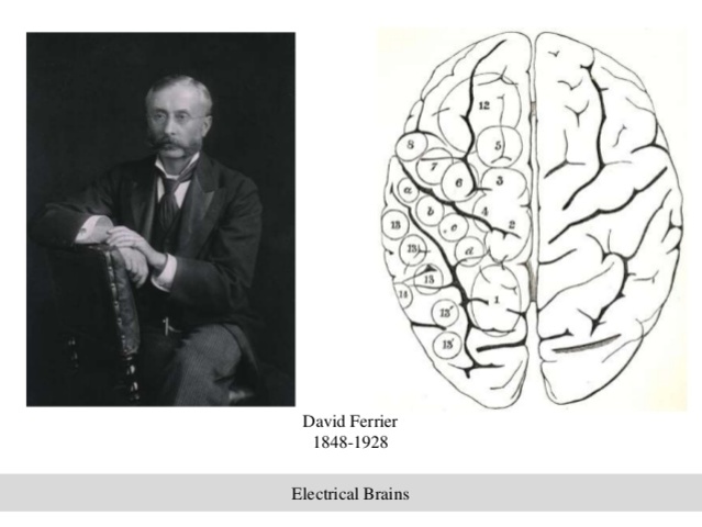 David Ferrier publica The Functions of the Brain