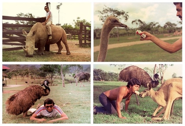 Se abre un zoológico para el público en su hacienda