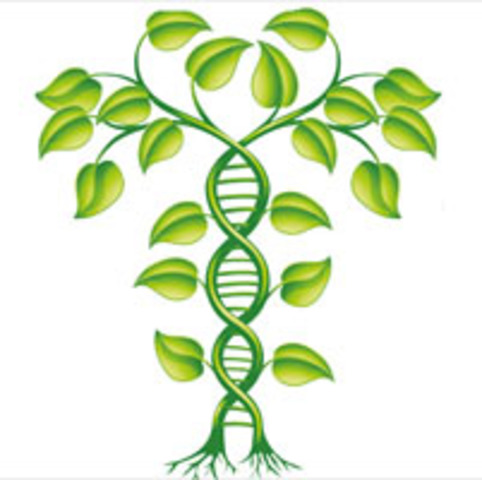 Tipos de resistencia