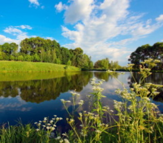 Провозглашение праздника "Всемирный день окружающей среды"