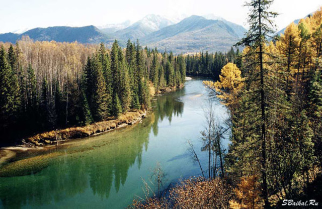 Появление первого заповедника в России