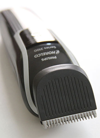 Every Chihuahua in America Lines up to Take a Bite out of Bryon