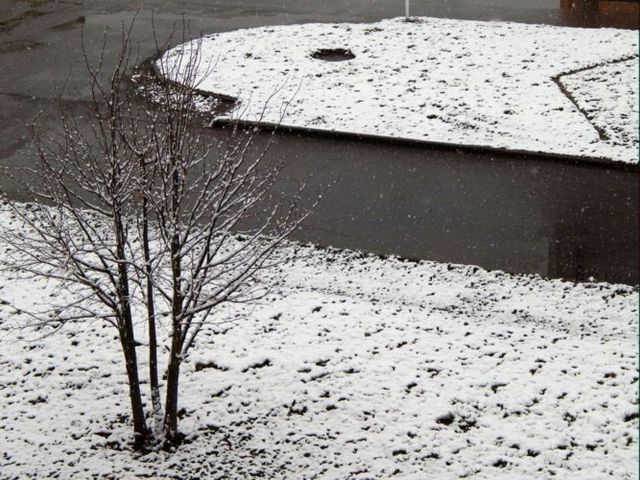 Пасхальное утро