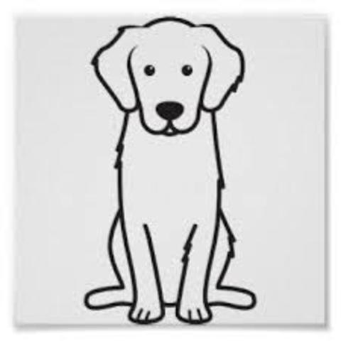 my favorite dog died