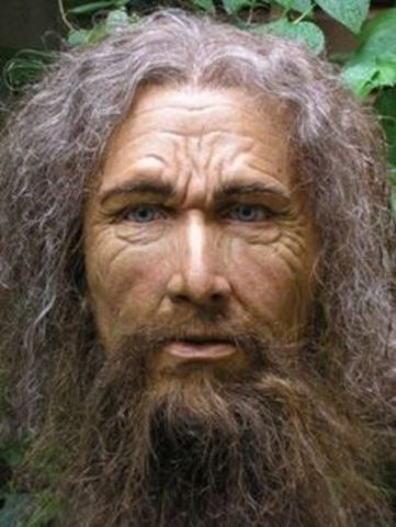 Homo sapiens sapiens