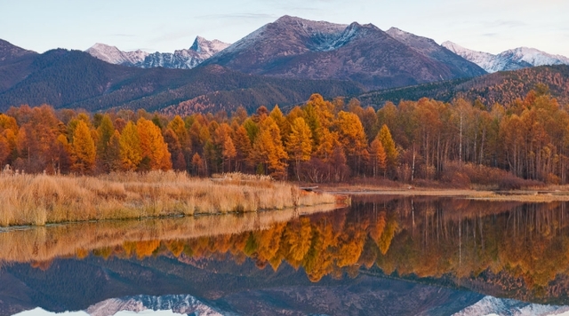 Первый заповедник в России