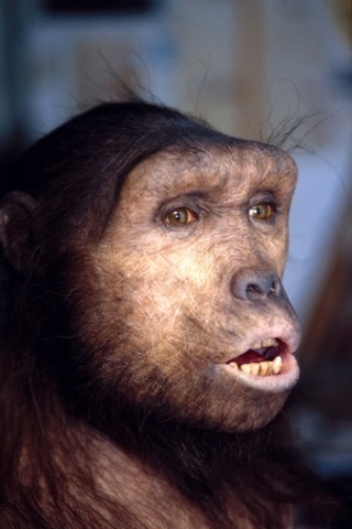 Sahelanthropus Tchadensis