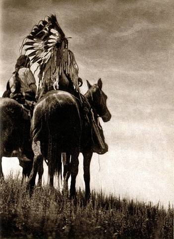 Malinche en común con los caballos