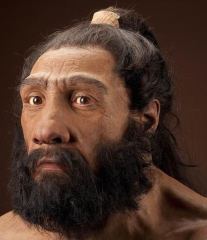 Homo neanderthalensis