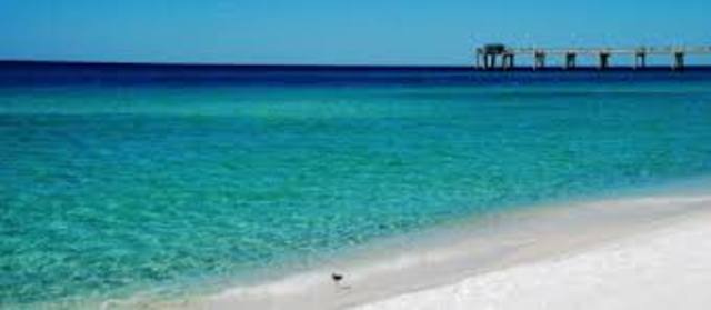 Tip to Disney World and swam in the Gulf Of Mexico In florida