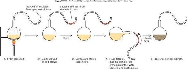 Louis Pasteur - Spontaneous Generation