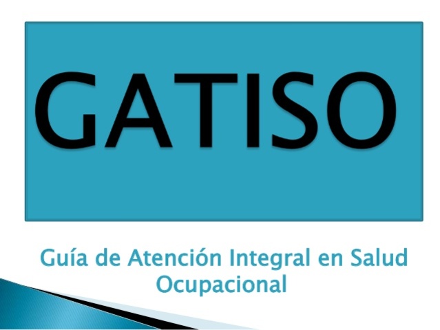 Resolución 1013