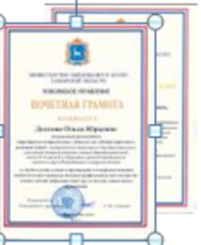 Благодарность за профмастерство