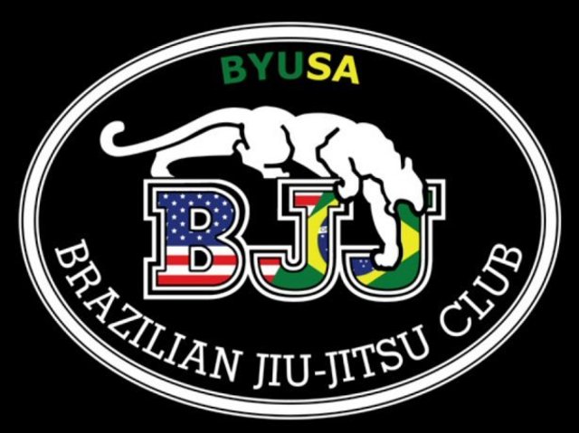 started doing bjj again