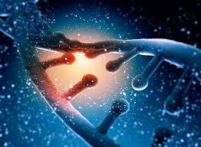 Descubrimiento de cómo cortar y pegar fragmentos de ADN