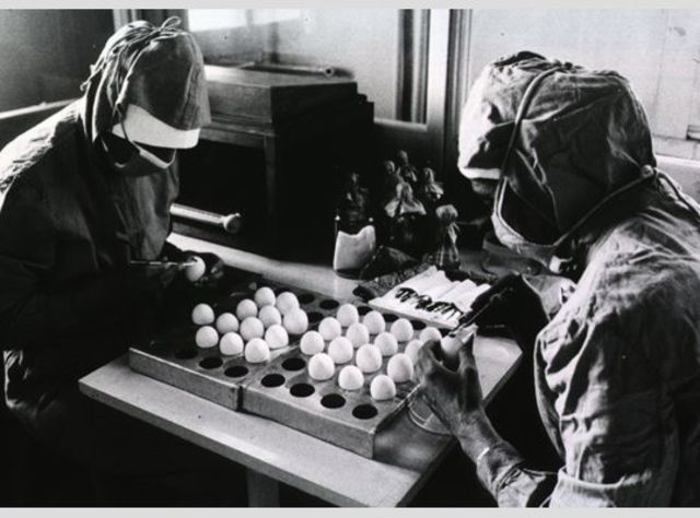 Primera vacuna para el sarampión