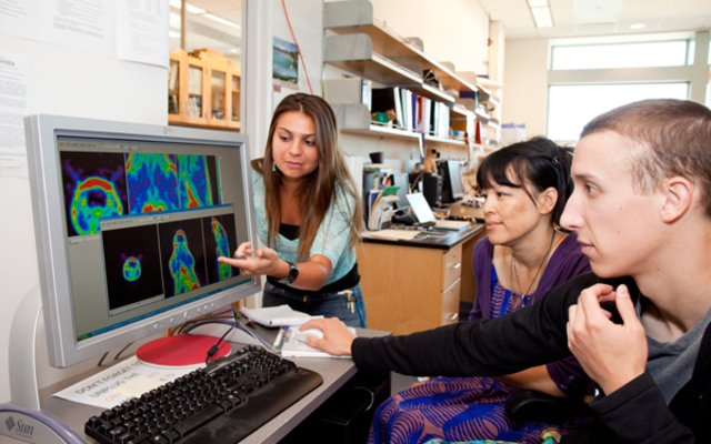 Era de la interactividad