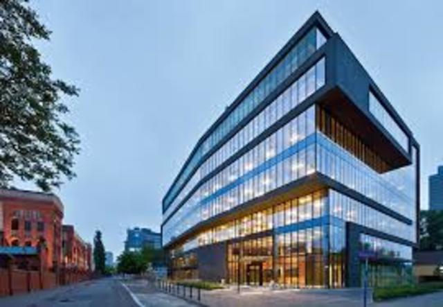 Solidificar mi empresa