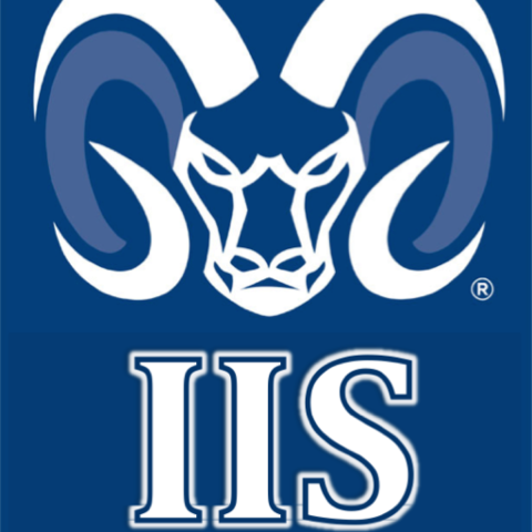 Entré a la carrera (IIS)