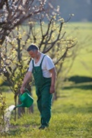 20 марта Международный День Земли