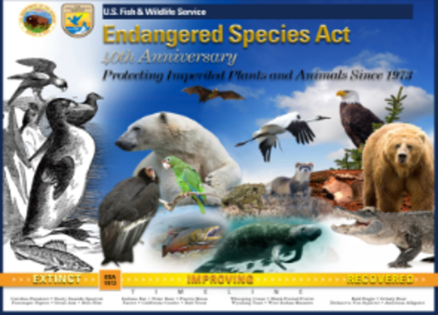 Endangered Species Act