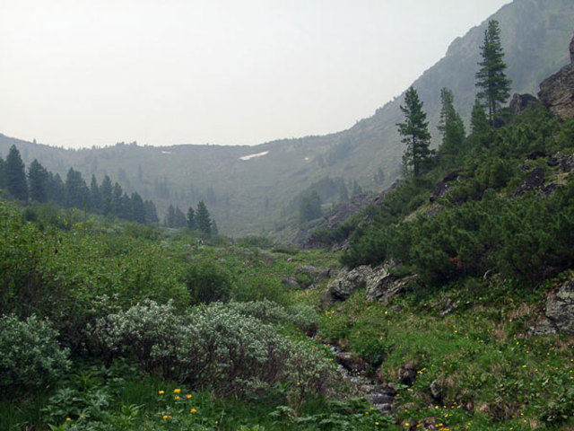 Супутинский (ныне Уссурийский) заповедник