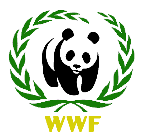 День рождения Всемирного фонда дикой природы (WWF)