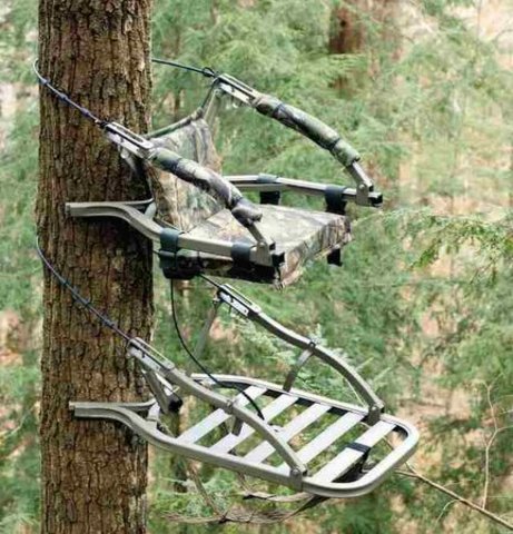 Got my first tree stand.