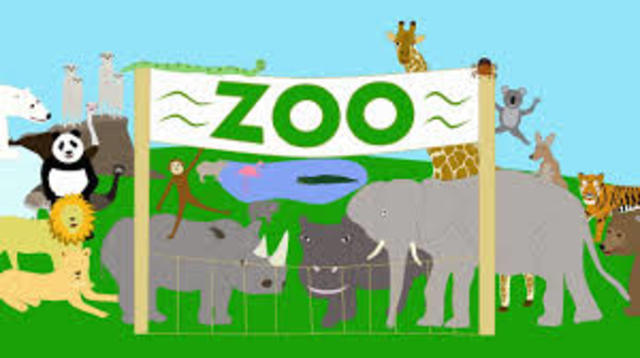 The Zoo
