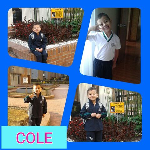 Ingreso al Colegio Jose Joaquin Castro Martinez