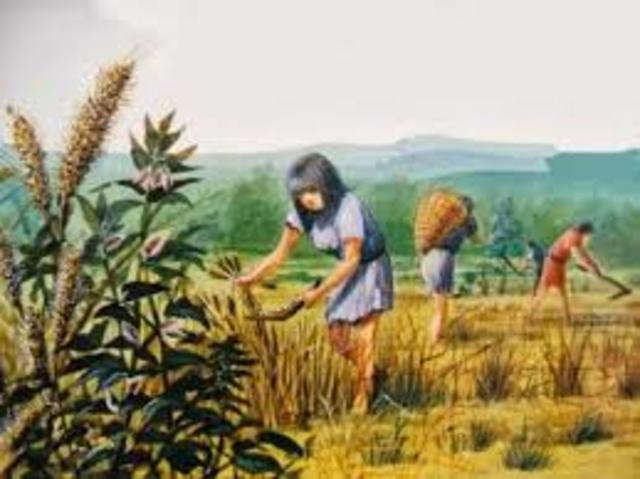 INICIO DE LAS CIVILIZACIONES