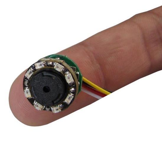 Fritz is released from custody