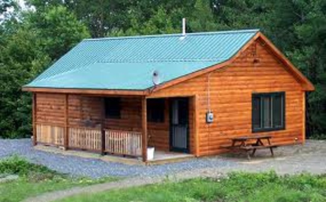 percy has a new cabin mate.