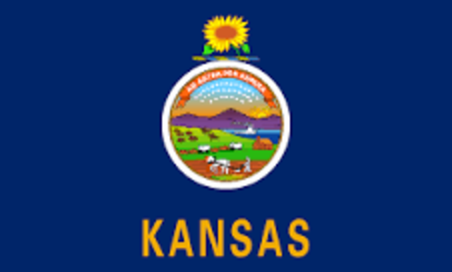 Kansas Slavery Election is Halted by Border Ruffians