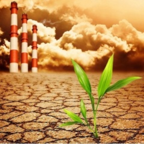 День борьбы за права человека от химической опасности