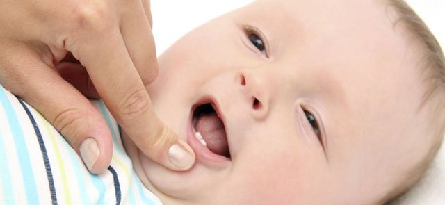 Nire lehenengo hortza