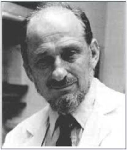 Geschwind y Grupo Boston