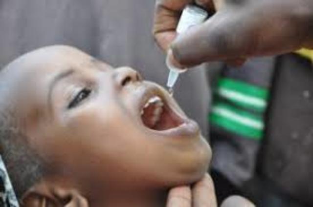 Polio vaccines begin