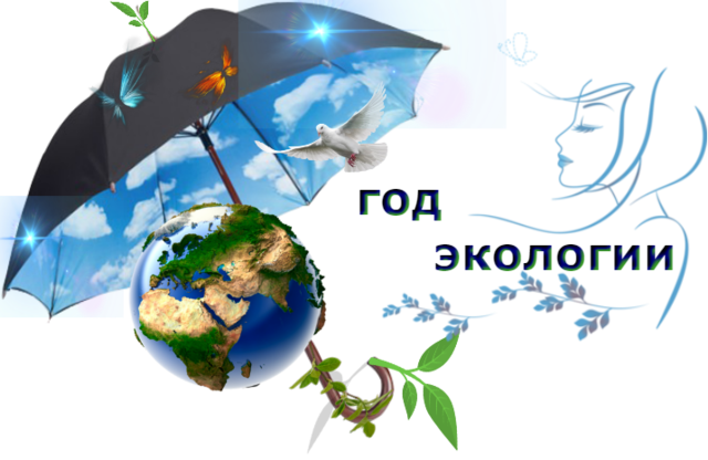 2017 год - год экологии