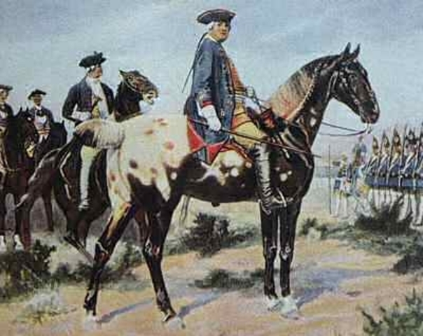 Frederick William I (continuation)