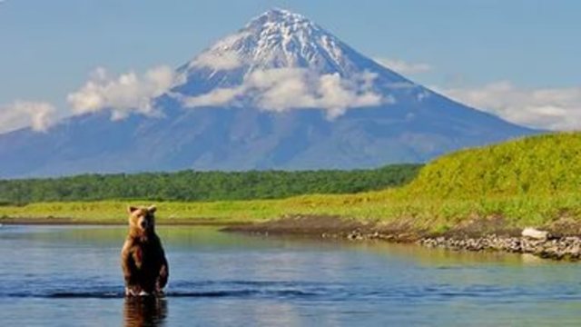 Охрана животного мира