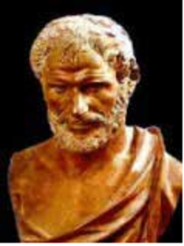 Aristoteles distingue varios niveles o grados de conocimiento.