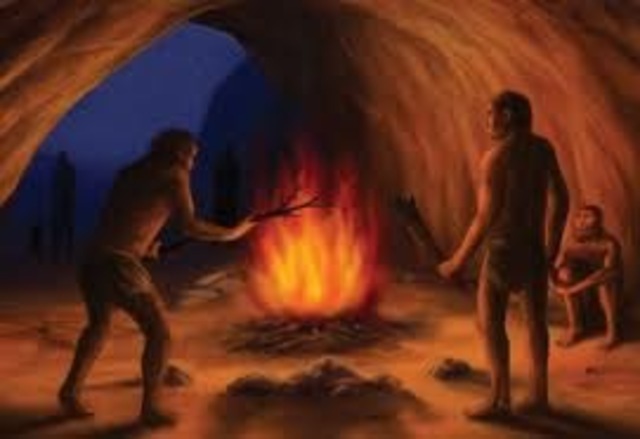 Nacimiento de la cocina