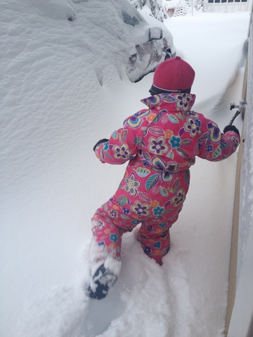 Big Snow Storm of 2013!